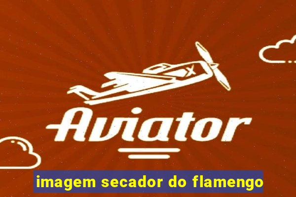 imagem secador do flamengo